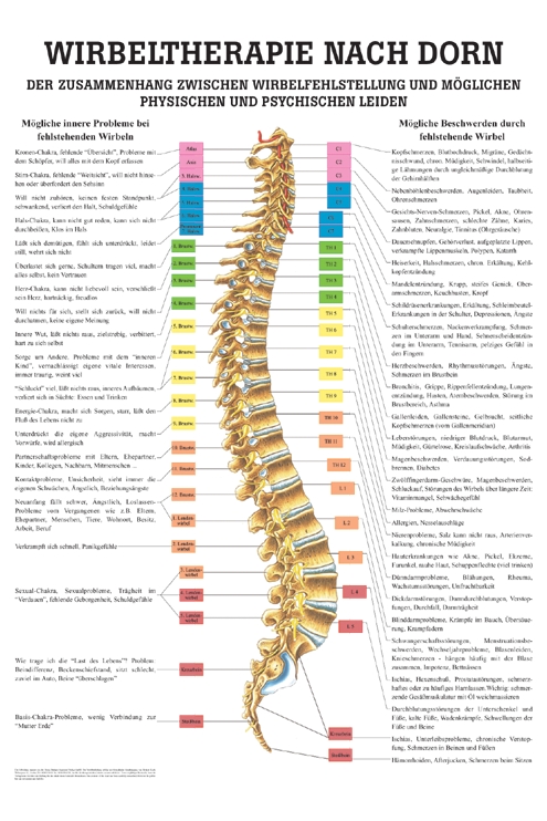 anat. Mini-Poster: Dorn Therapie 24 x 34 cm, laminiert